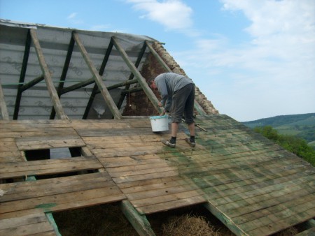 penetrace dřeva